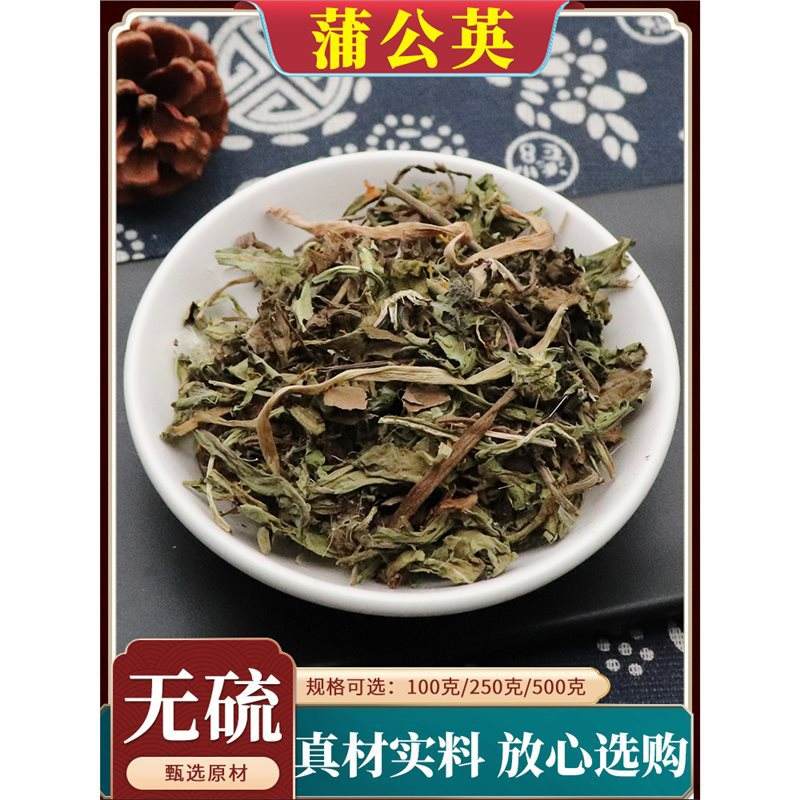 蒲公英根功效作用与主治视频讲解,蒲公英根功效作用与主治