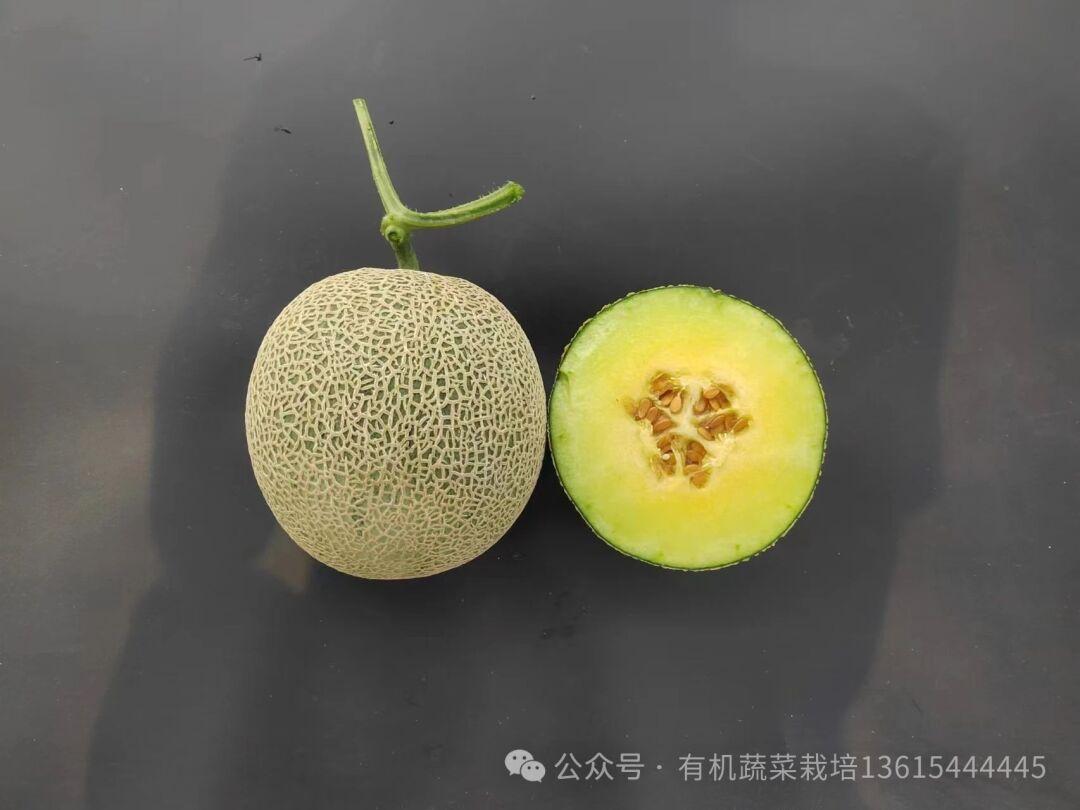小番茄可以减肥吗西红柿黄瓜减肥有用吗