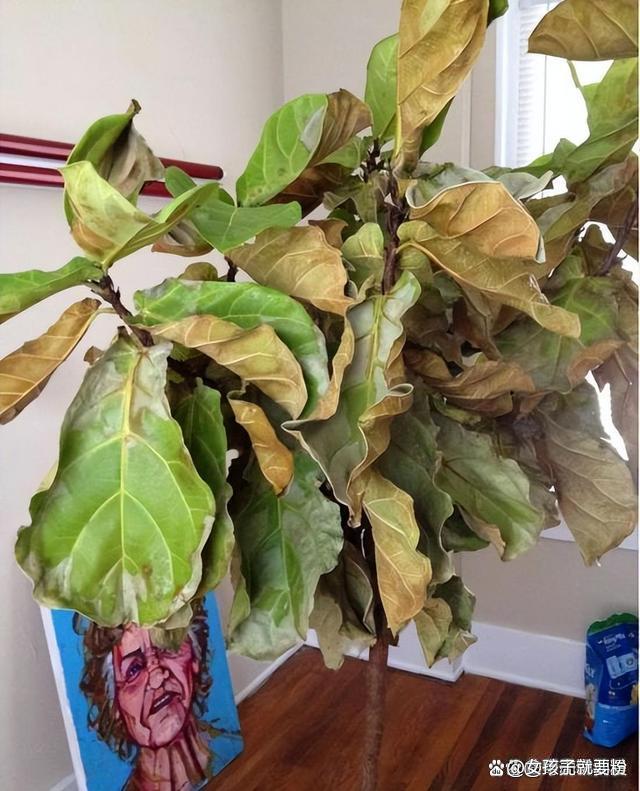 新房装修甲醛的危害有多大新房装修甲醛的危害