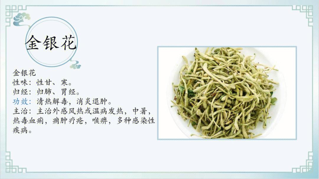 金银花泡水喝的作用有哪些金银花泡水喝的作用