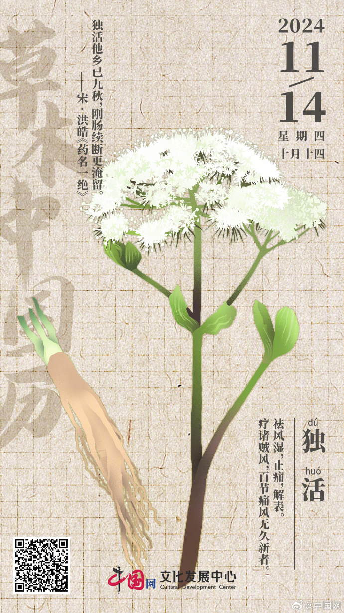 独活酒的功效独活酒