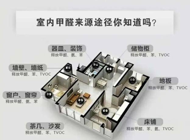 甲醛的危害与去除甲醛的危害与去除微项目ppt