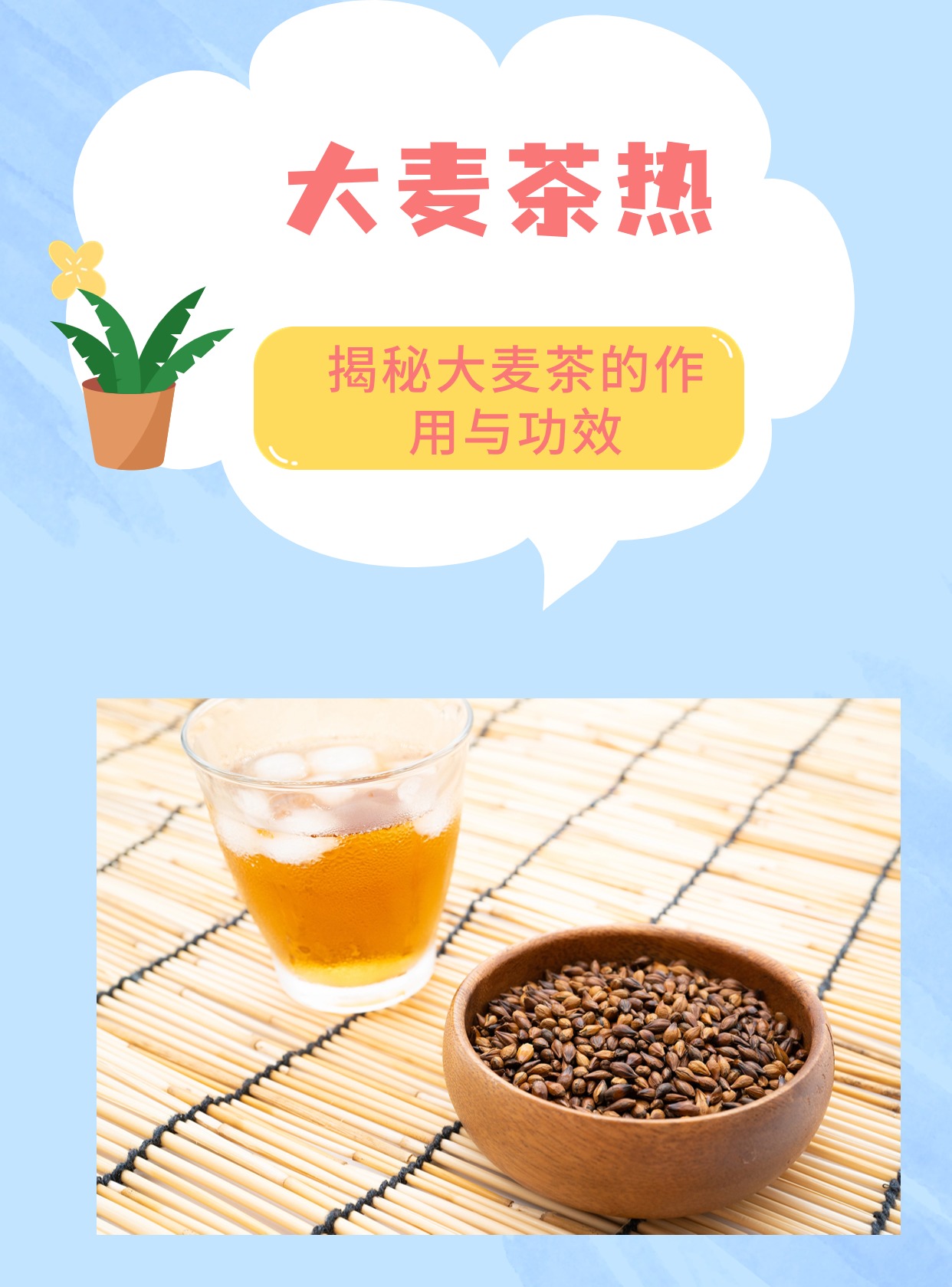湿气重的人能喝大麦茶吗大麦茶减肥吗