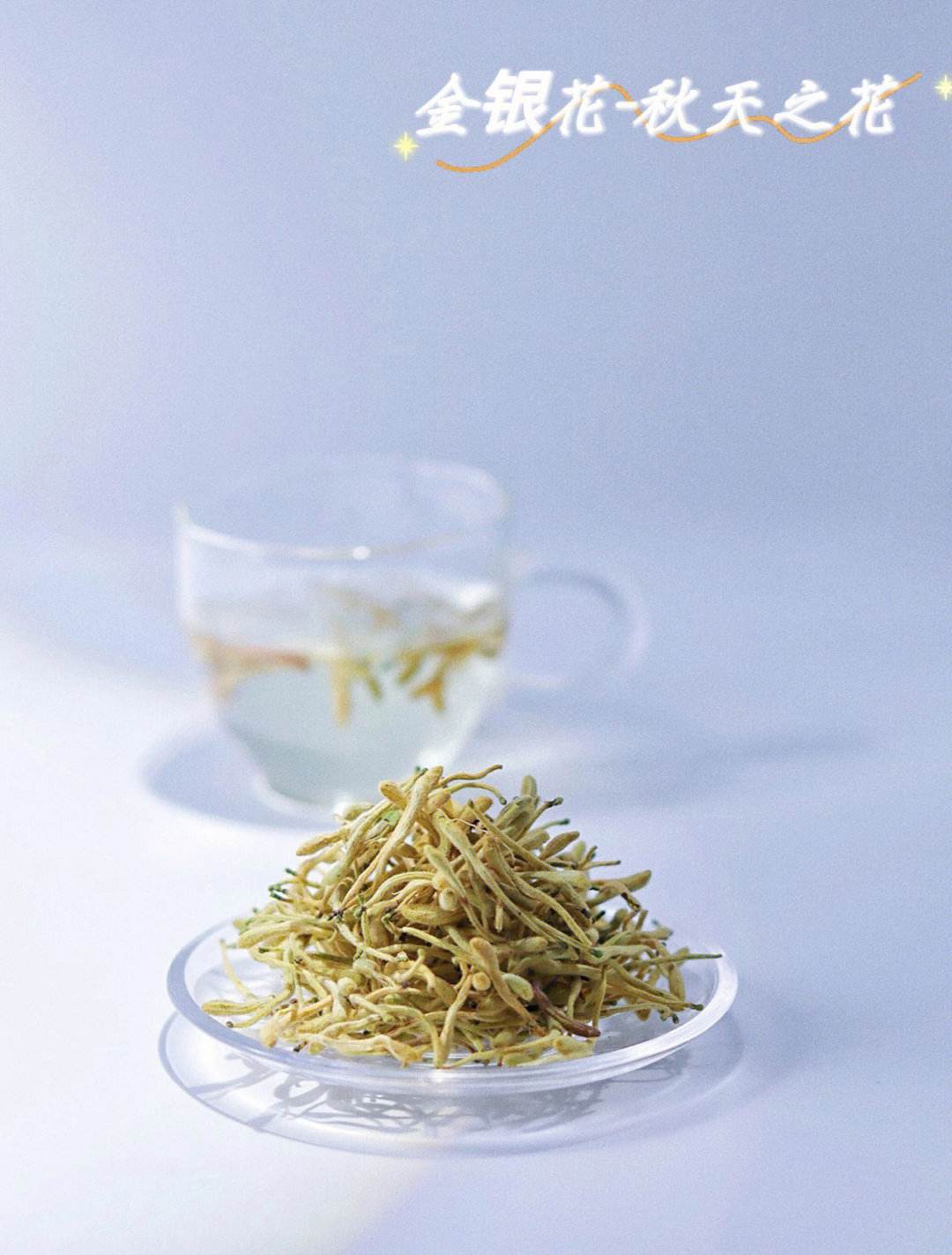 金银花泡水喝的五大禁忌,麦冬金银花泡水喝的五大禁忌