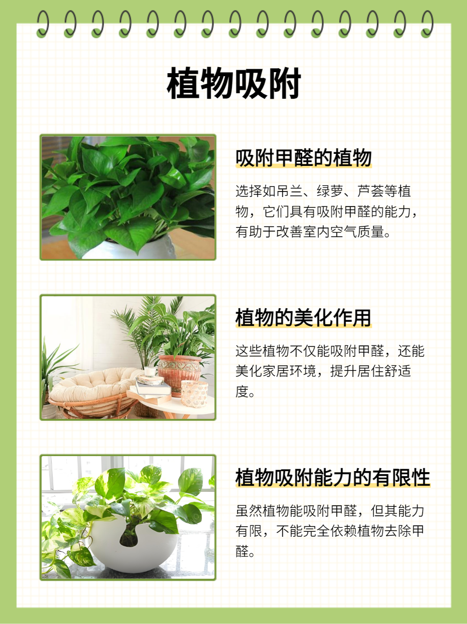 如何去除甲醛最有效的方法如何去除甲醛最有效方法图片大全
