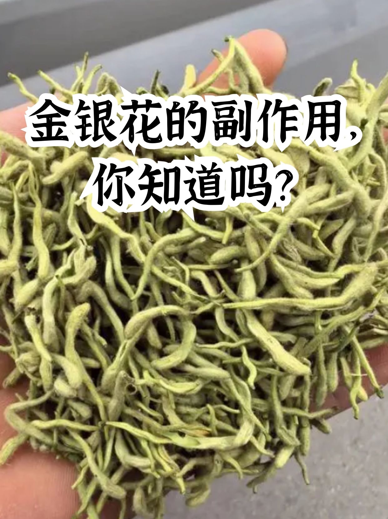 金银花有效成分,金银花有效成分的提取方法