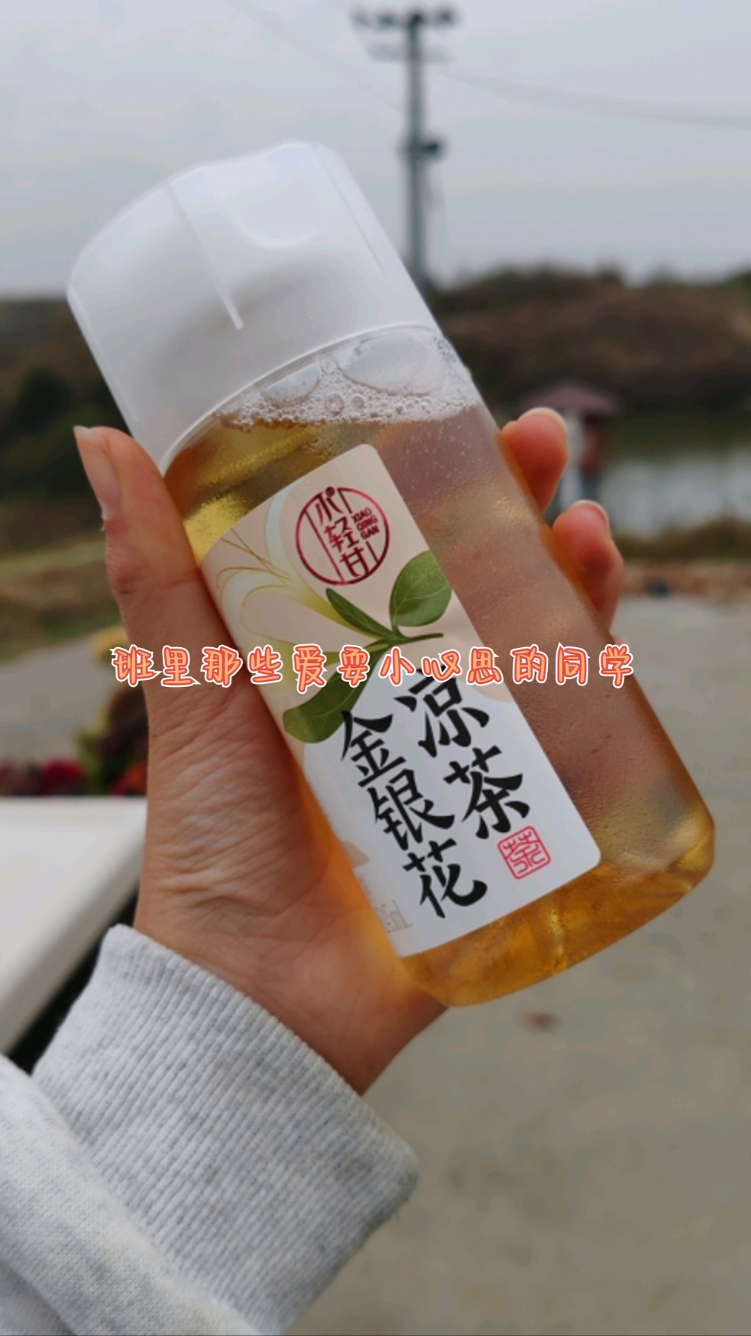 金银花茶的制作方法视频大全,金银花茶的制作方法视频