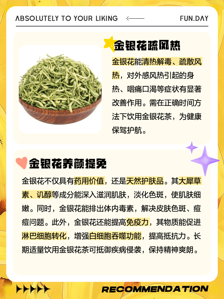 金银花有哪些功效和副作用现代药学研究,金银花有哪些功效