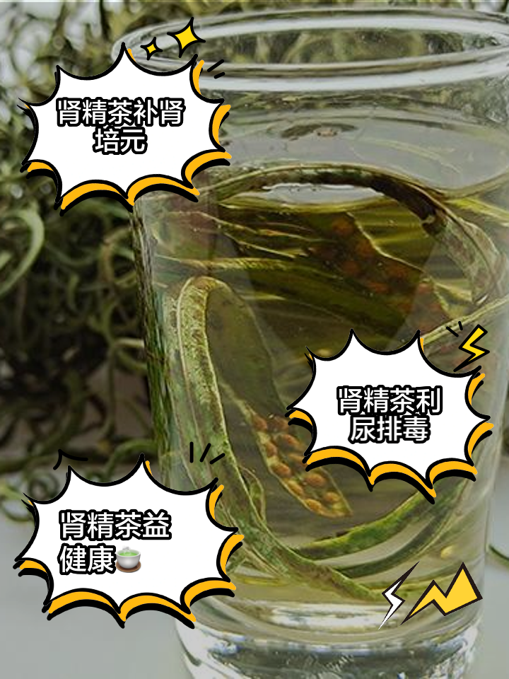 肾精茶图片,肾精茶