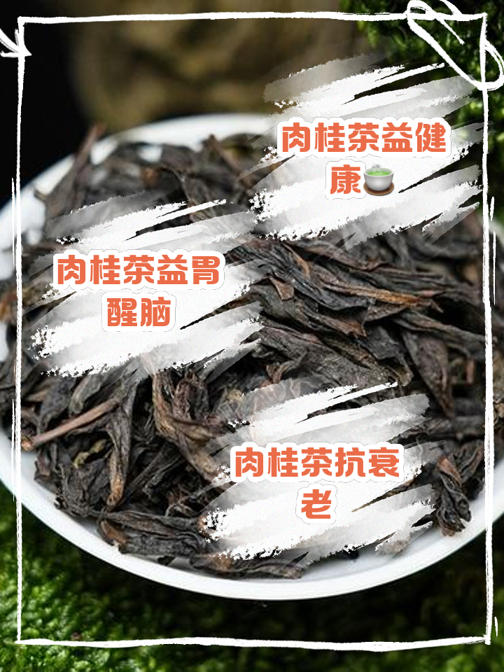 正语肉桂茶的价格和功效肉桂茶的价格和功效