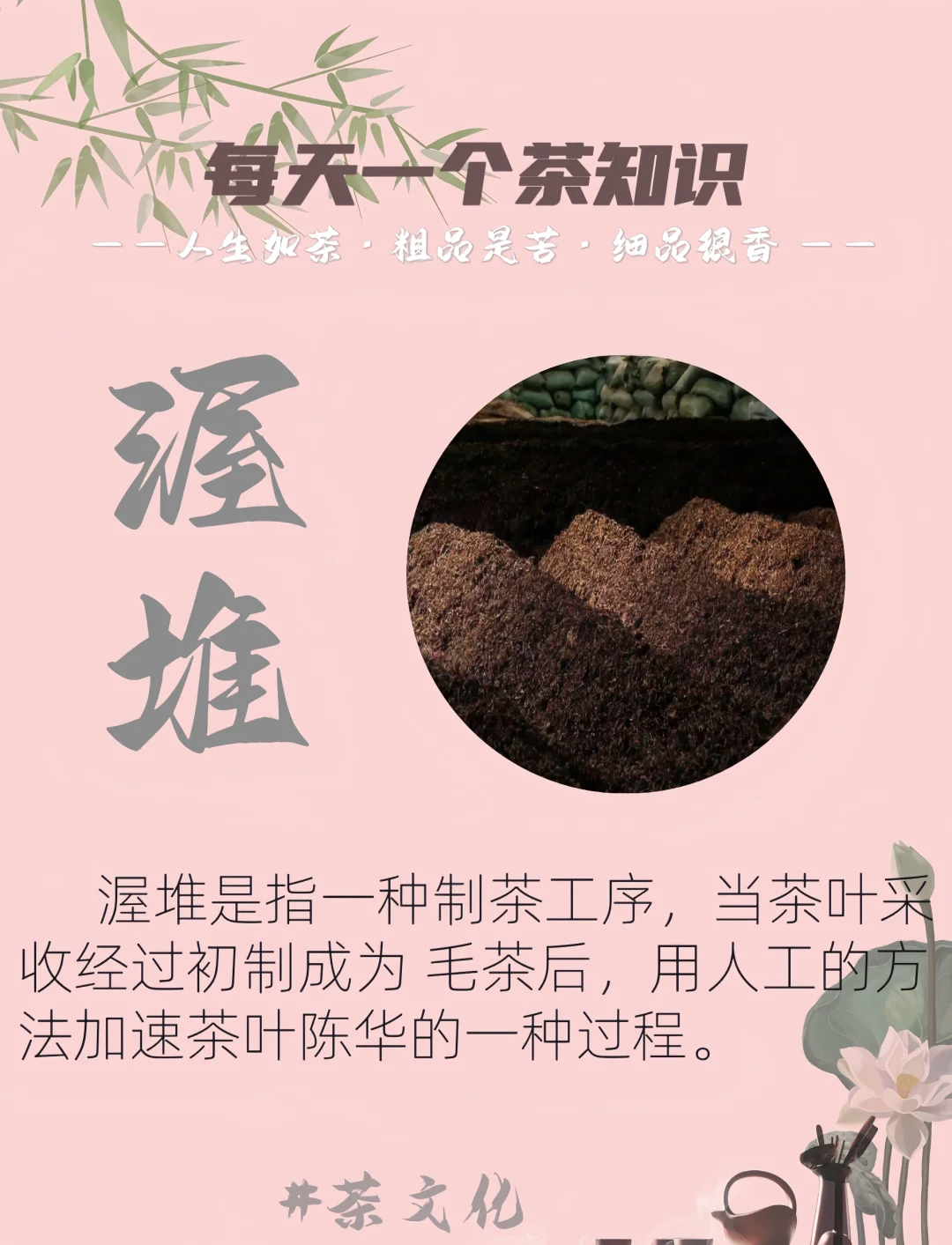 普洱茶喝法视频教程普洱茶喝法