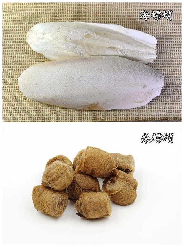 海螵蛸的功效与作用,海螵蛸的功效与作用与主治