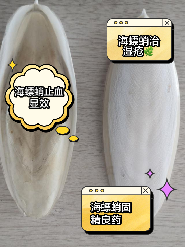海螵蛸的功效与作用,海螵蛸的功效与作用与主治