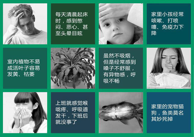 甲醛对身体有哪些危害,甲醛最怕的三个克星