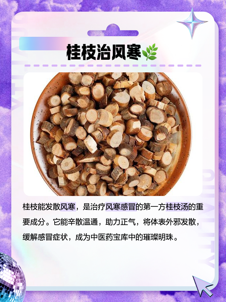 桂枝的功效与作用点用,桂枝的功效和作用