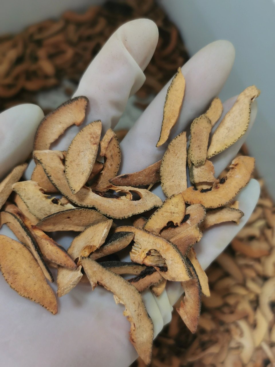 枳壳的功效与作用图片,枳壳的功效与作用