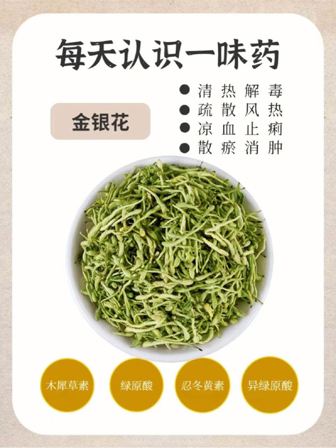 金银花的作用是什么,金银花的作用是什么有没有副作用