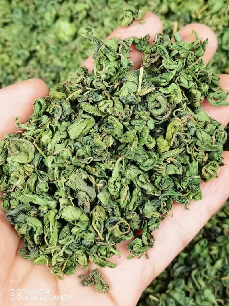 刺儿茶的功效与作用刺儿茶