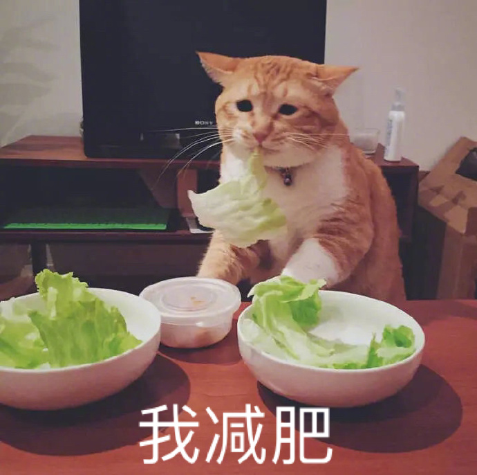 减肥表情包,减肥表情包怎么画