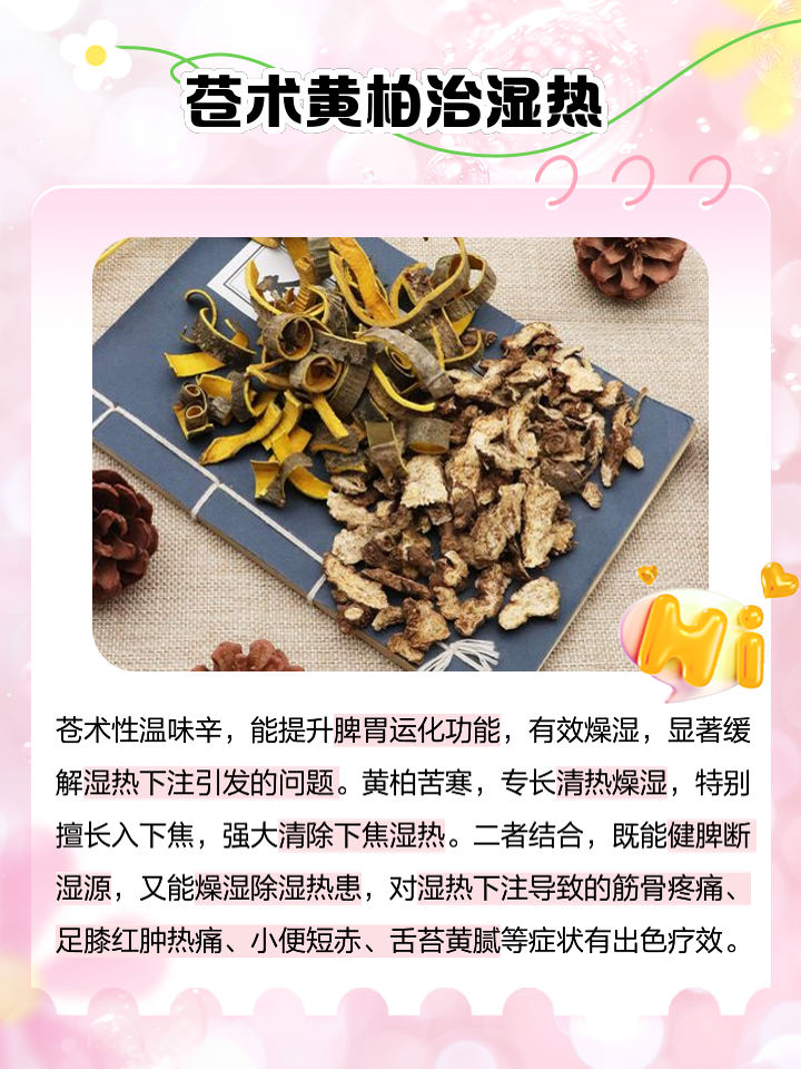 苍术的功效与作用,苍术的功效与作用图片