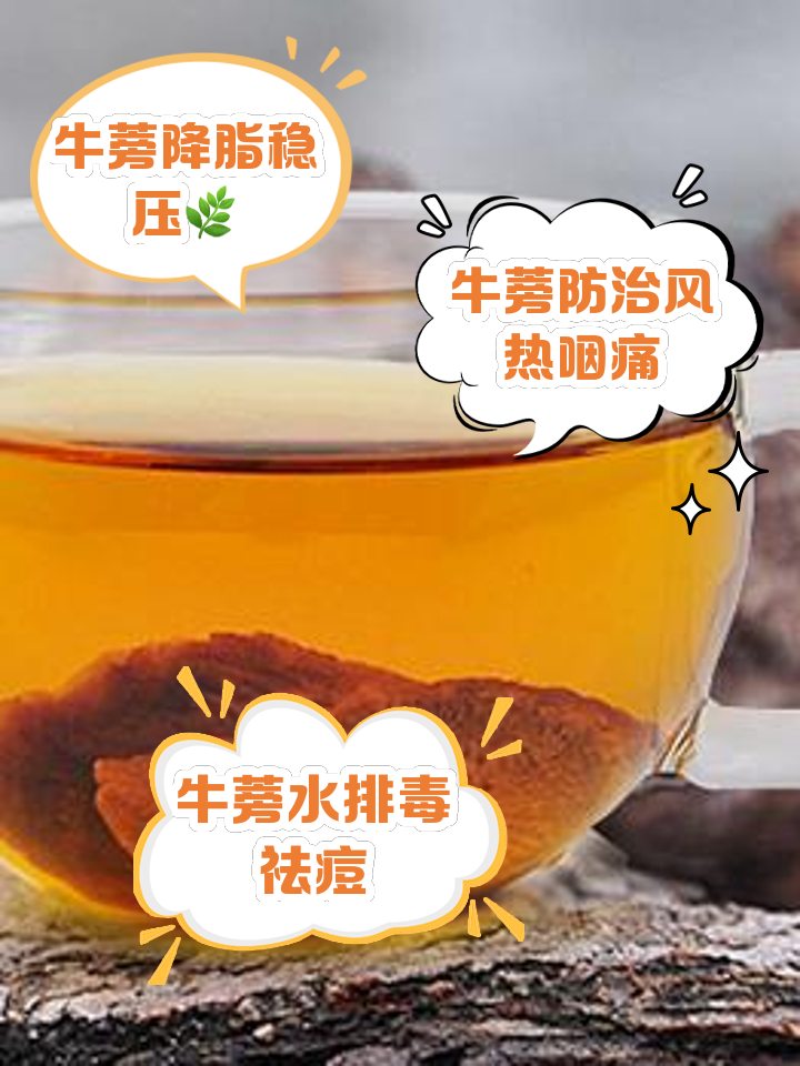 牛蒡茶不适合什么人喝牛蒡茶不适合人群