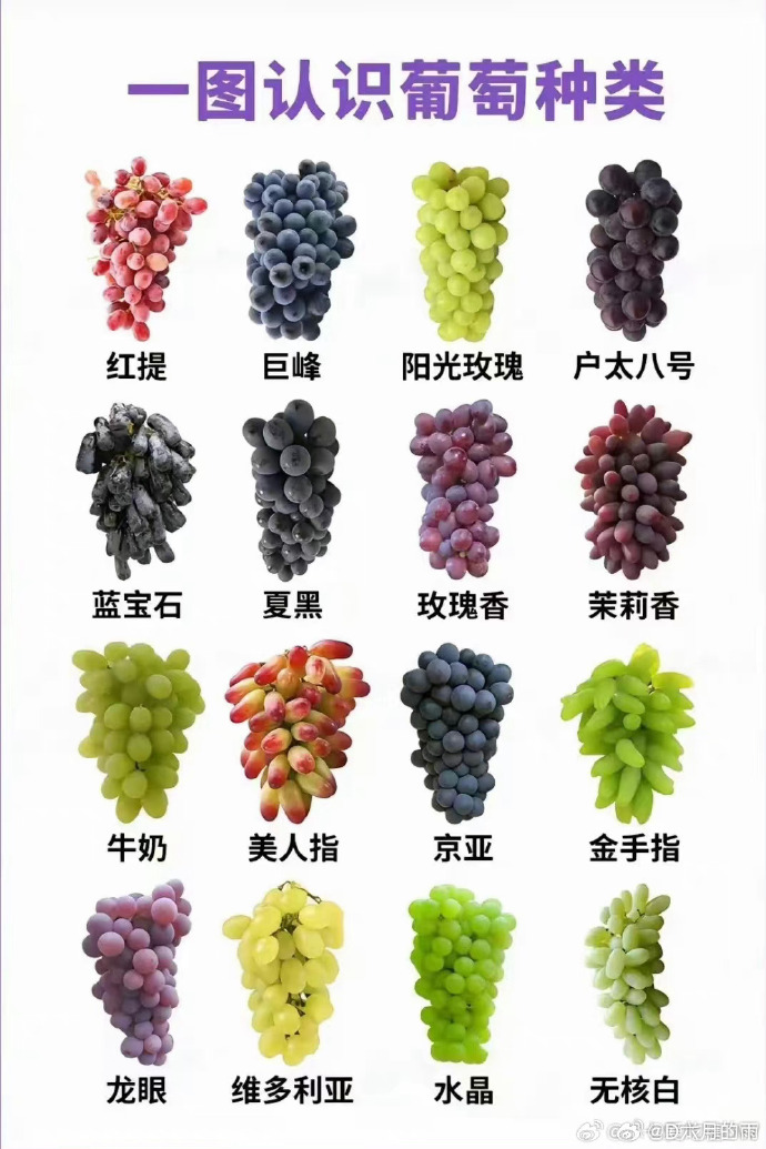 世界酒类品种大全及价格世界酒类品种大全
