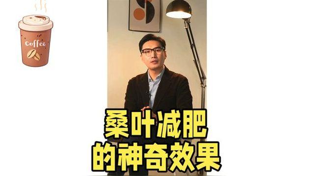 桑叶减肥,桑叶减肥茶