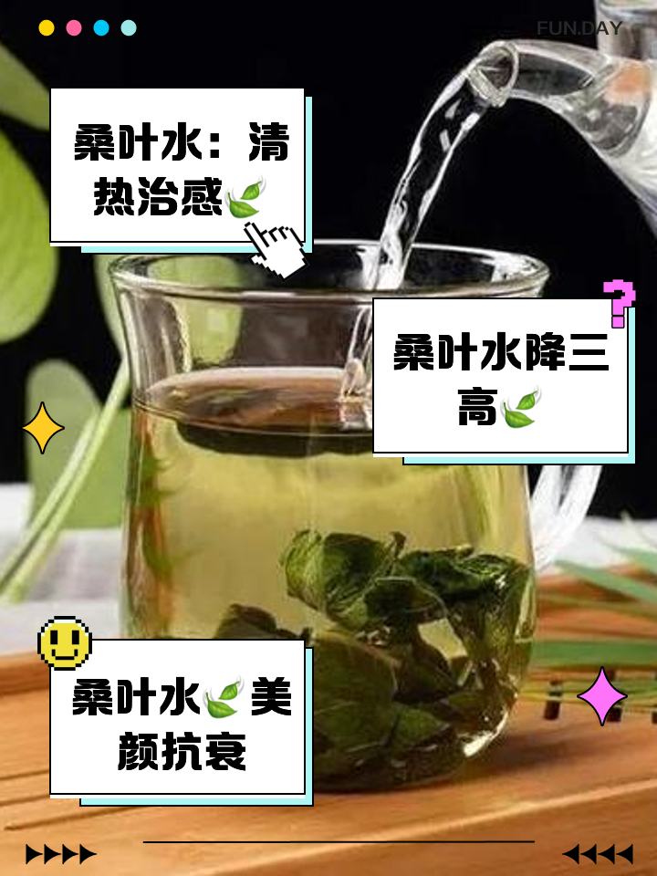 霜打桑叶泡水喝有什么功效和作用桑叶泡水喝有什么功效和作用