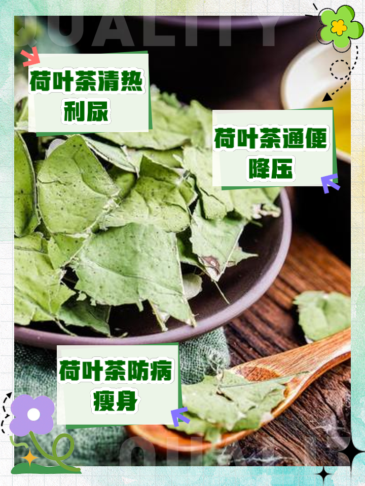 纤婕苹果荷叶茶功效,荷叶茶功效