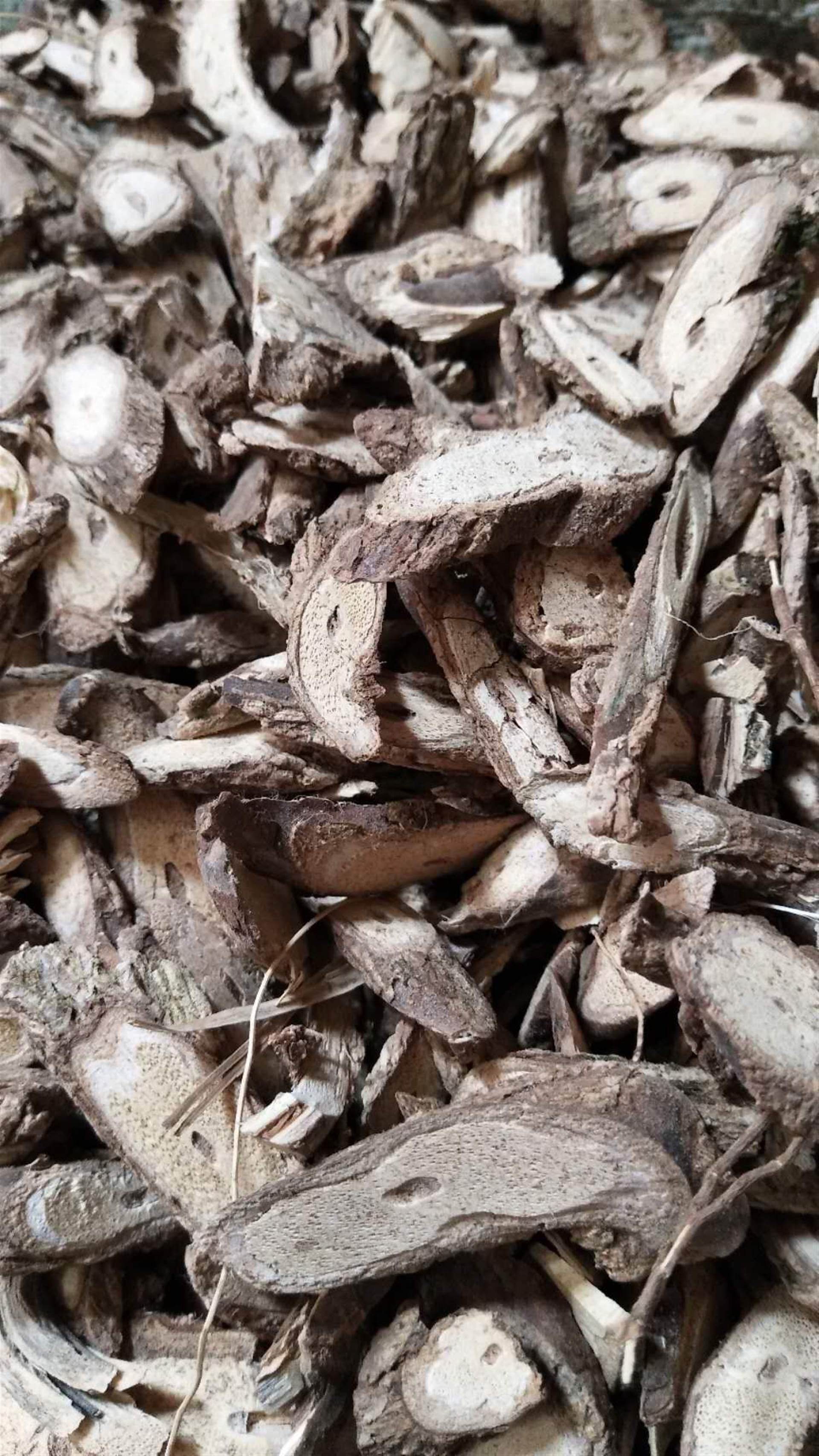 炒蒲黄炒蒲黄的图片
