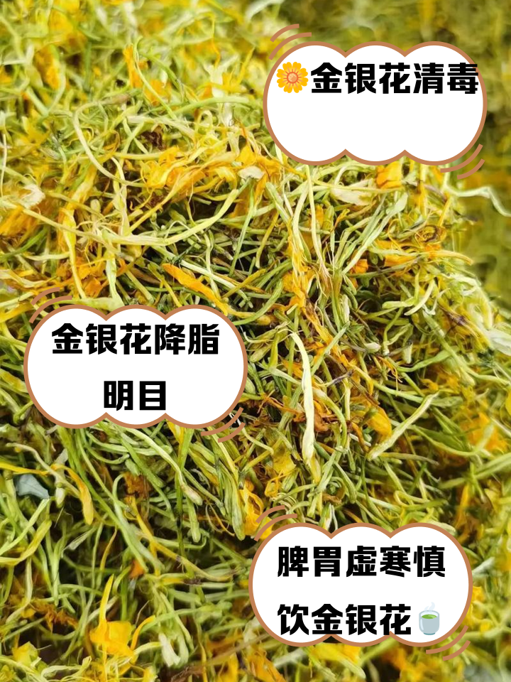 长期用金银花泡水喝好吗长期用金银花泡水喝有什么好处