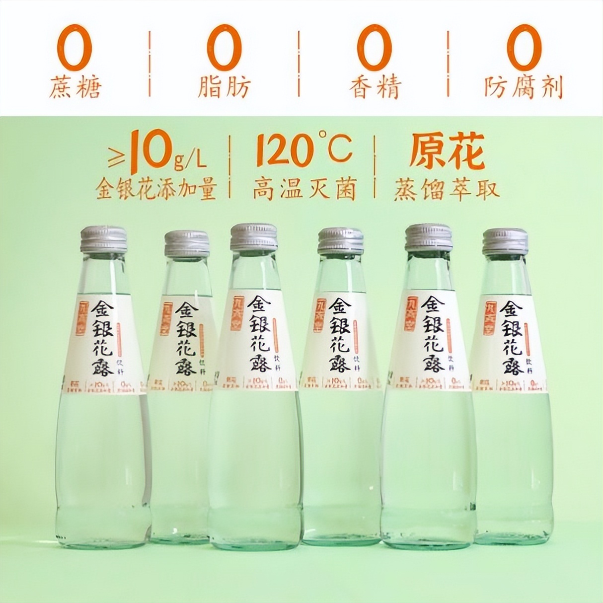 金银花露作者写的书在哪里看的简单介绍