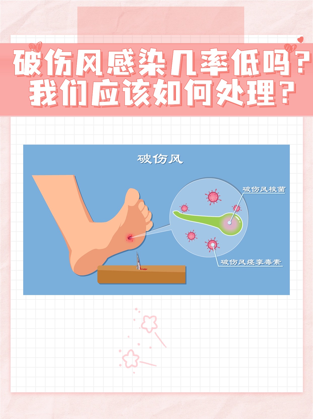 破伤风毒素包含毒素和毒素,破伤风类毒素分子量