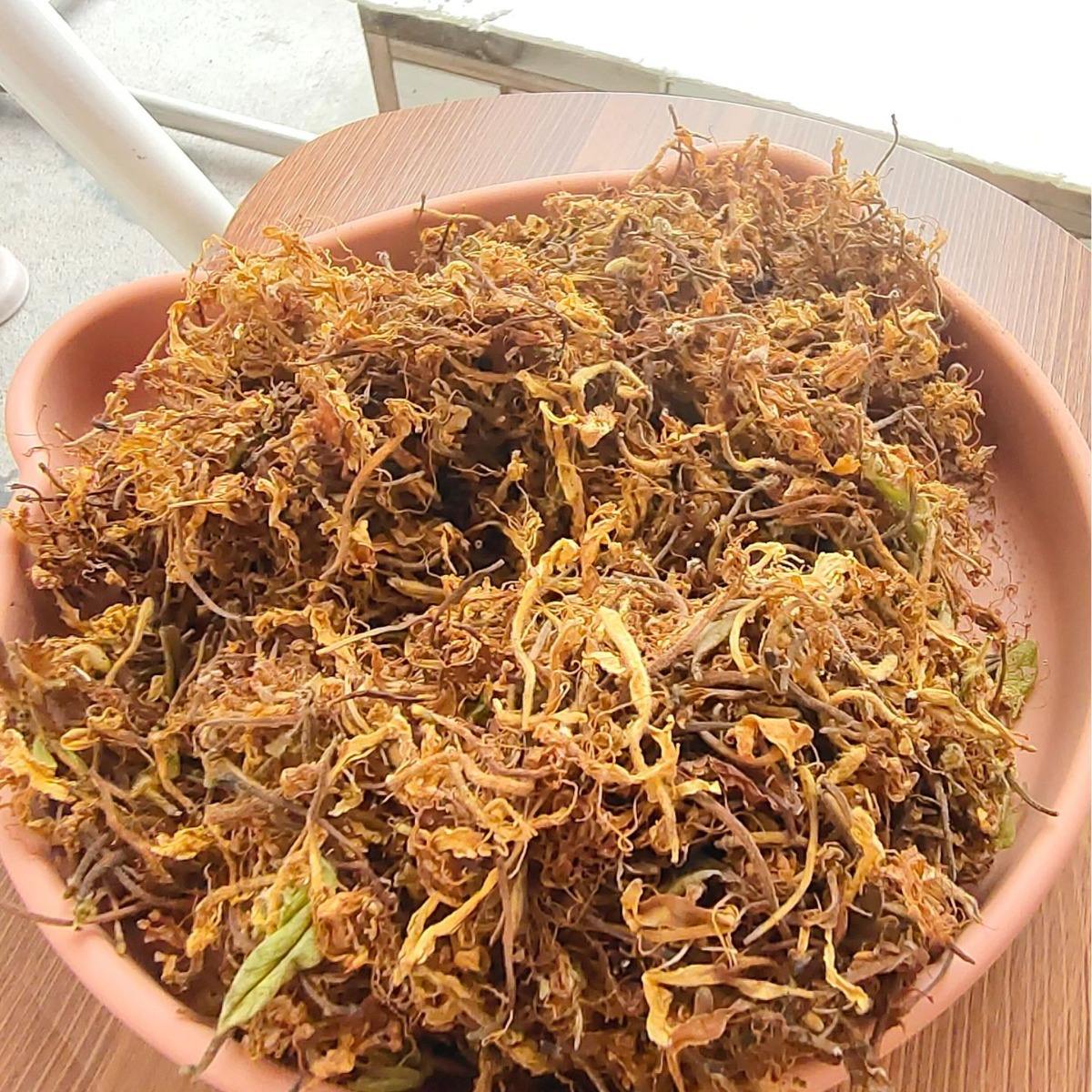 金银花怎么烘干不发黑关于金银花烘干的几个常见问题