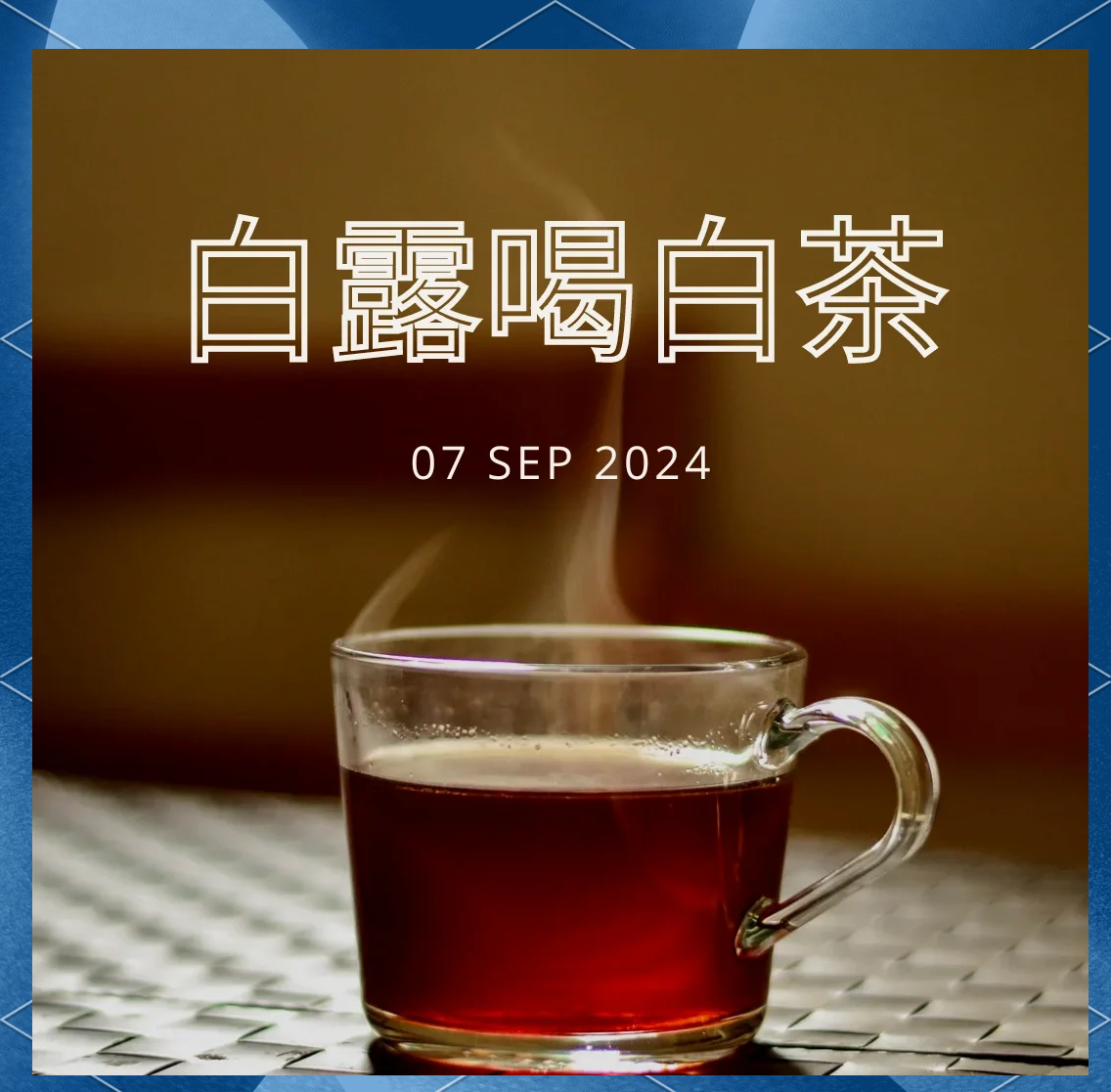寿眉茶,寿眉茶属于什么档次的白茶
