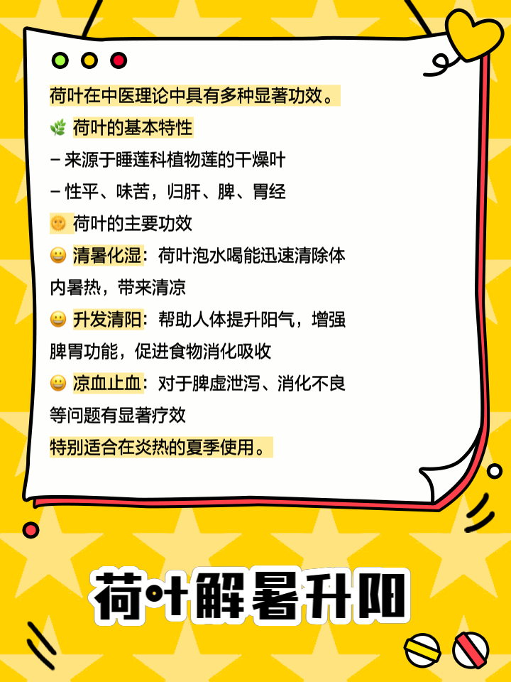 荷叶的功效,荷叶的功效与主治作用及禁忌