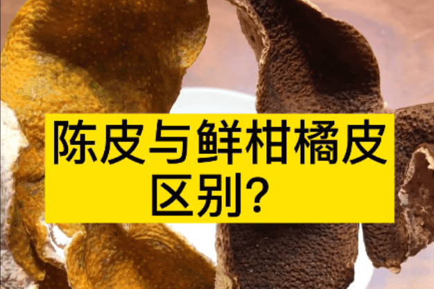 陈皮跟橘皮有什么区别,陈皮跟橘皮有什么区别图片