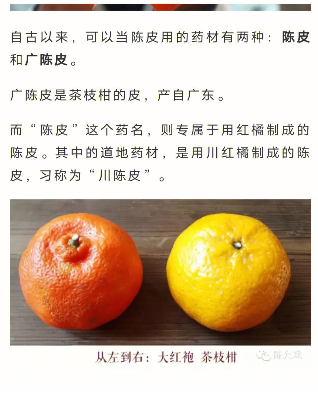 陈皮跟橘皮有什么区别,陈皮跟橘皮有什么区别图片