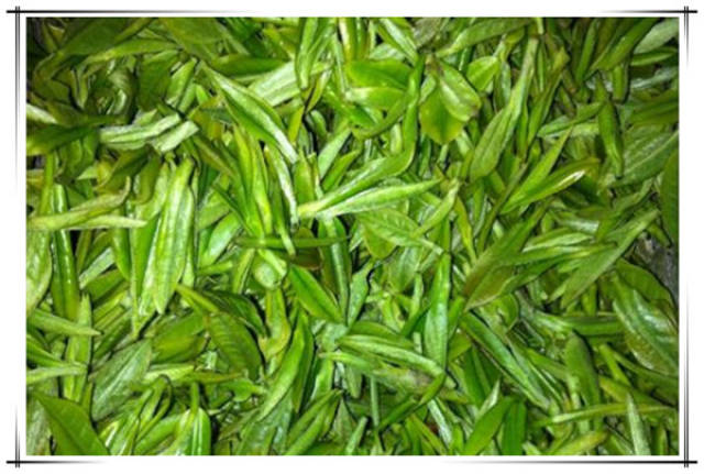 余姚瀑布茶余姚瀑布茶的制作流程图