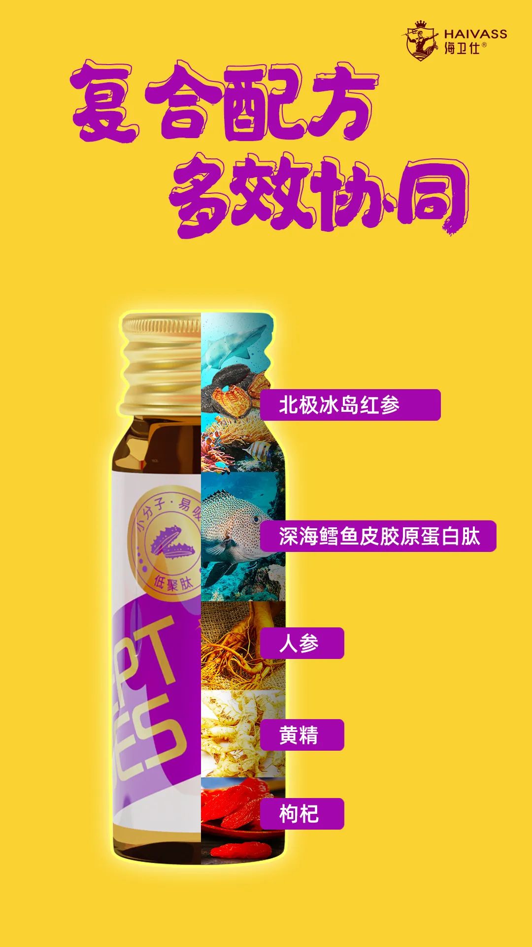 康尔保健品,康尔健野官网