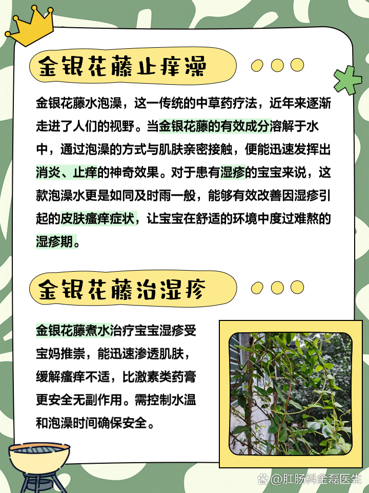 金银花的功效与作用吃法金银花的功效与作用吃法大全