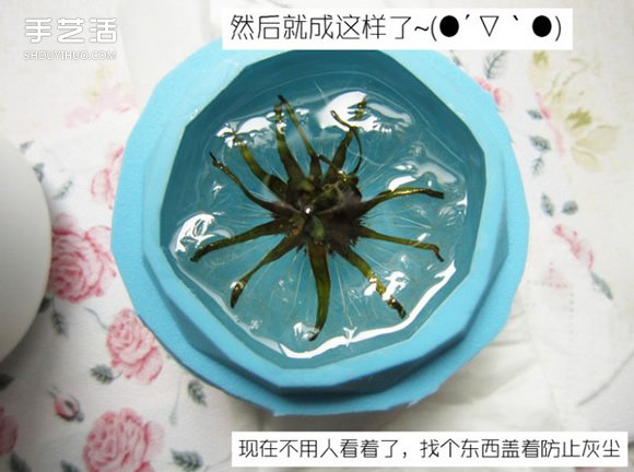 蒲公英的灰尘蒲公英上的灰尘