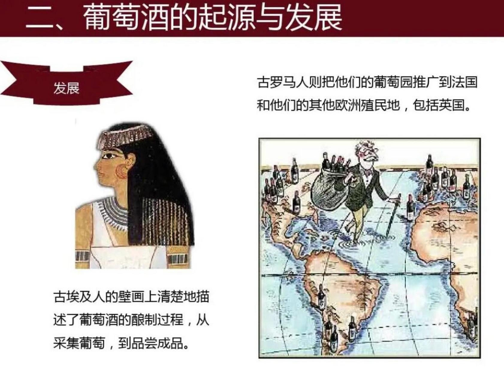 酒的历史起源简单介绍,酒的由来和历史