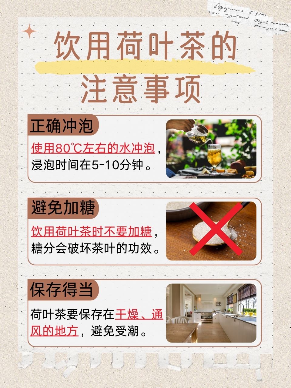 荷叶茶的作用,荷叶泡水喝的功效与作用