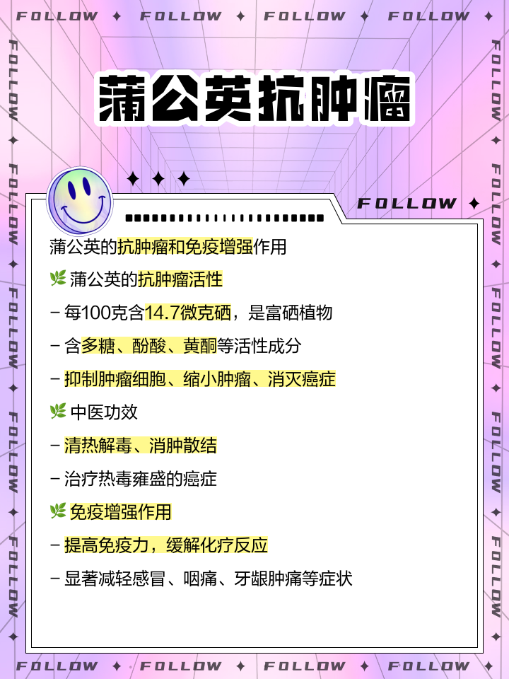 蒲公英的功效与作用禁忌与副作用有哪些蒲公英的功效