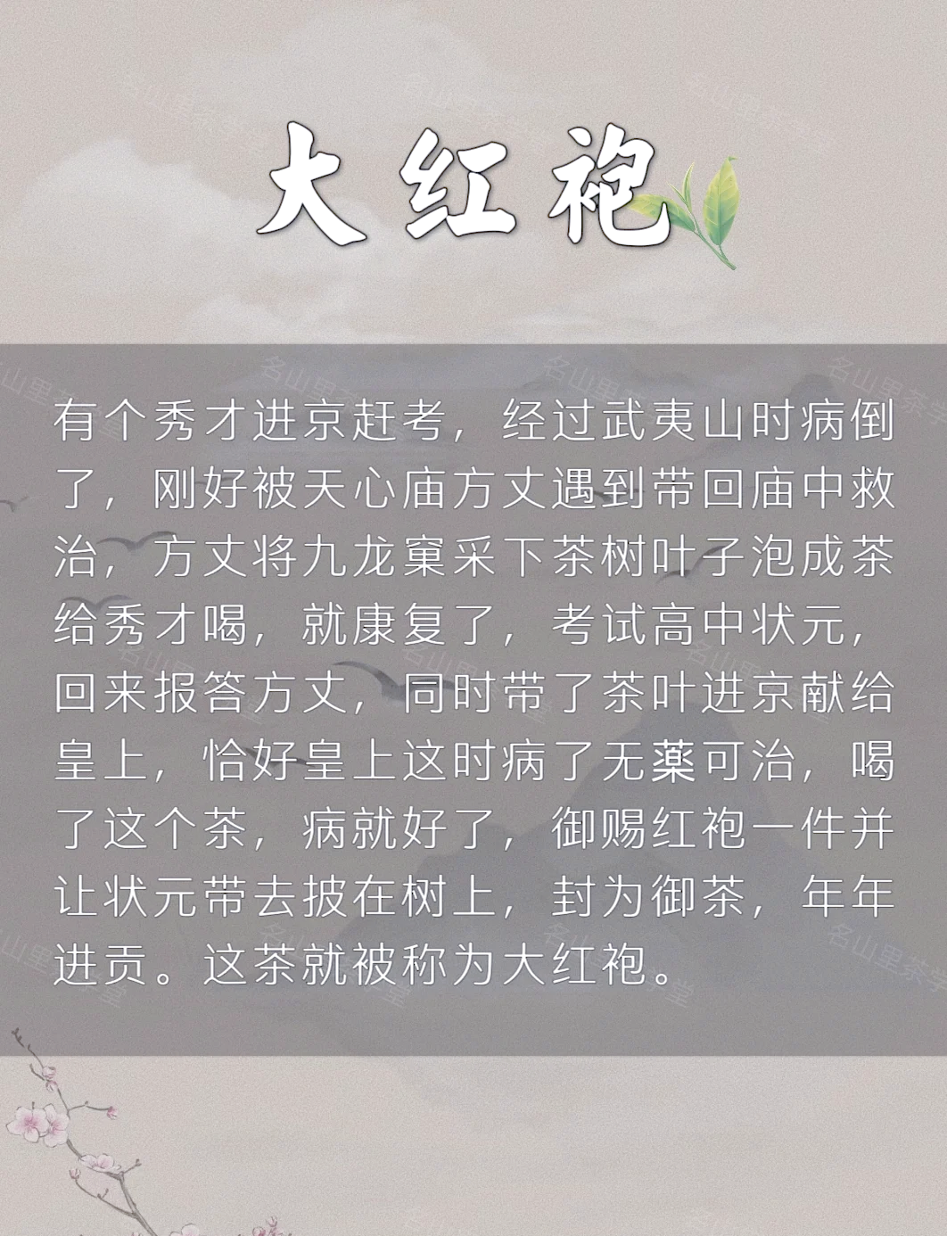 茶是谁发现的 动画,茶是谁发现的