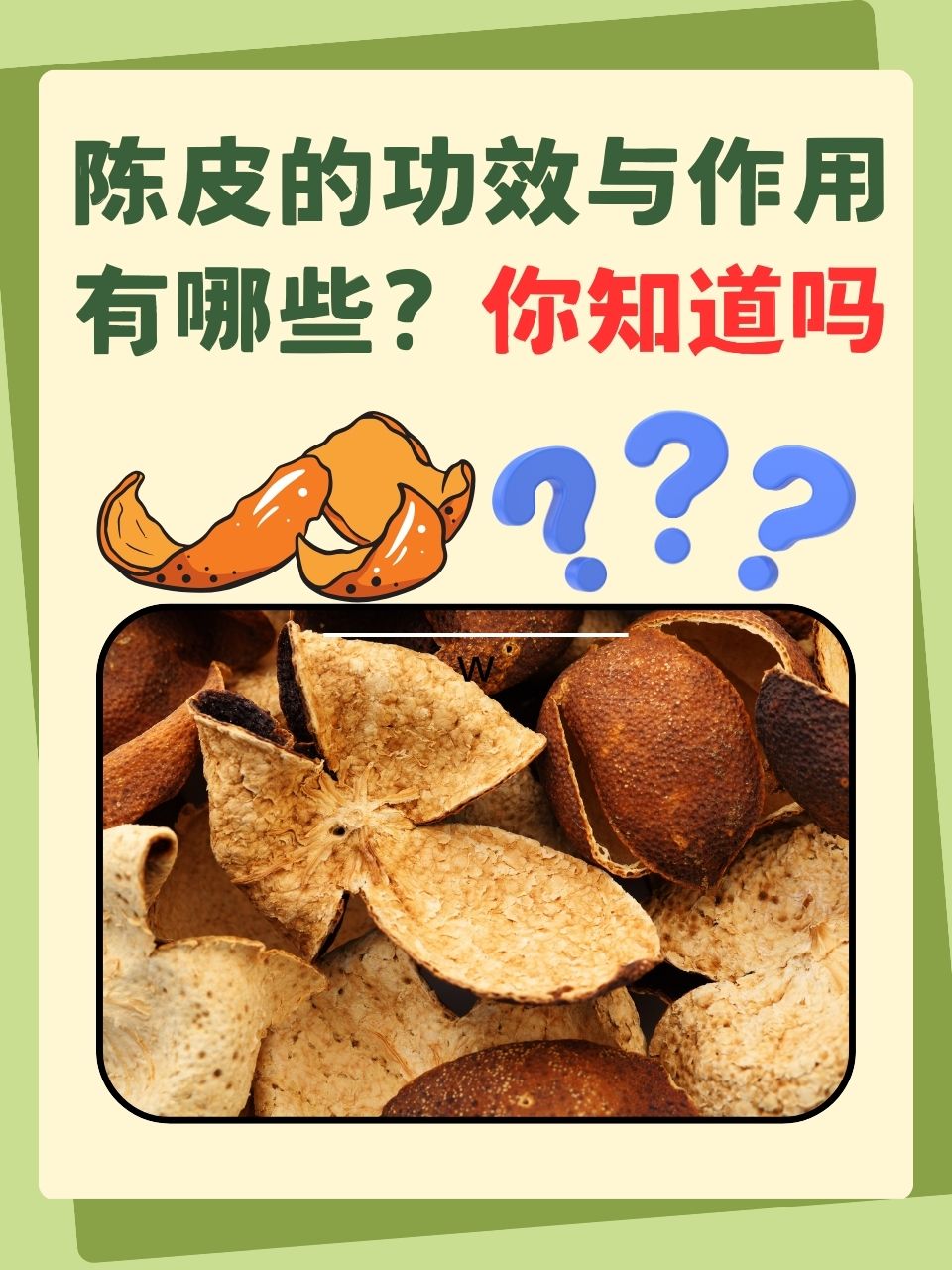 经常吃陈皮的功效与作用禁忌经常吃陈皮的功效与作用禁忌是什么