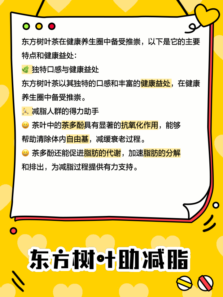 中午喝什么能减肥喝什么能减肥