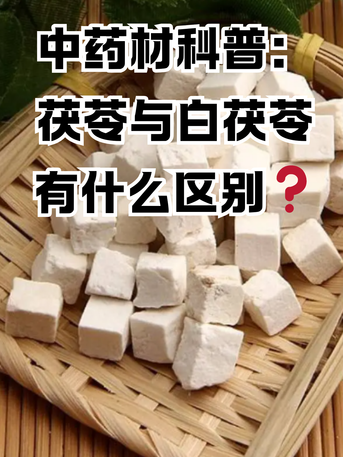 茯苓的作用与功效及副作用禁忌,茯苓的作用与功效