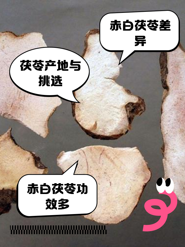 茯苓的作用与功效及副作用禁忌,茯苓的作用与功效